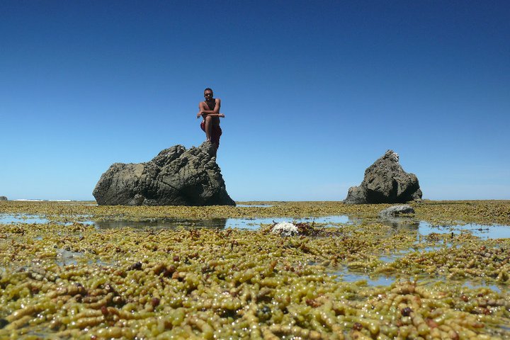 Te Angiangi Marine Reserve