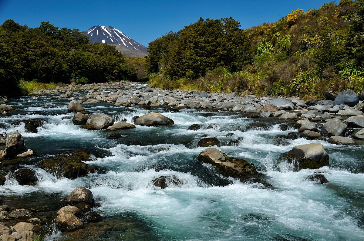 mahuia river