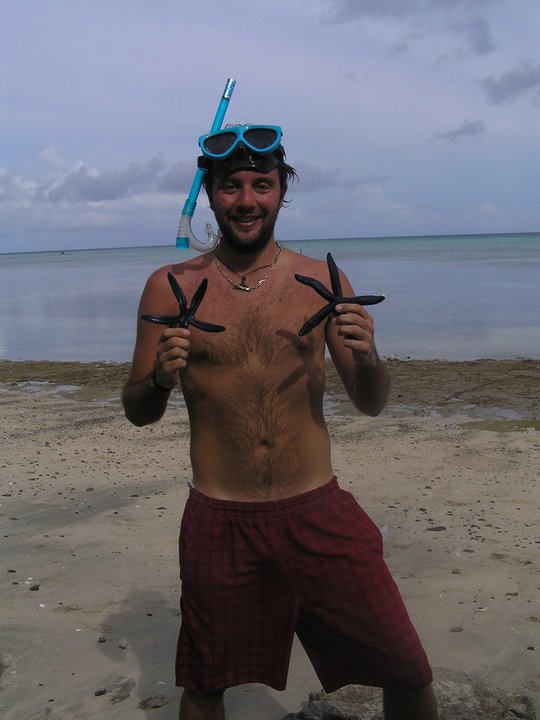 blue starfish...